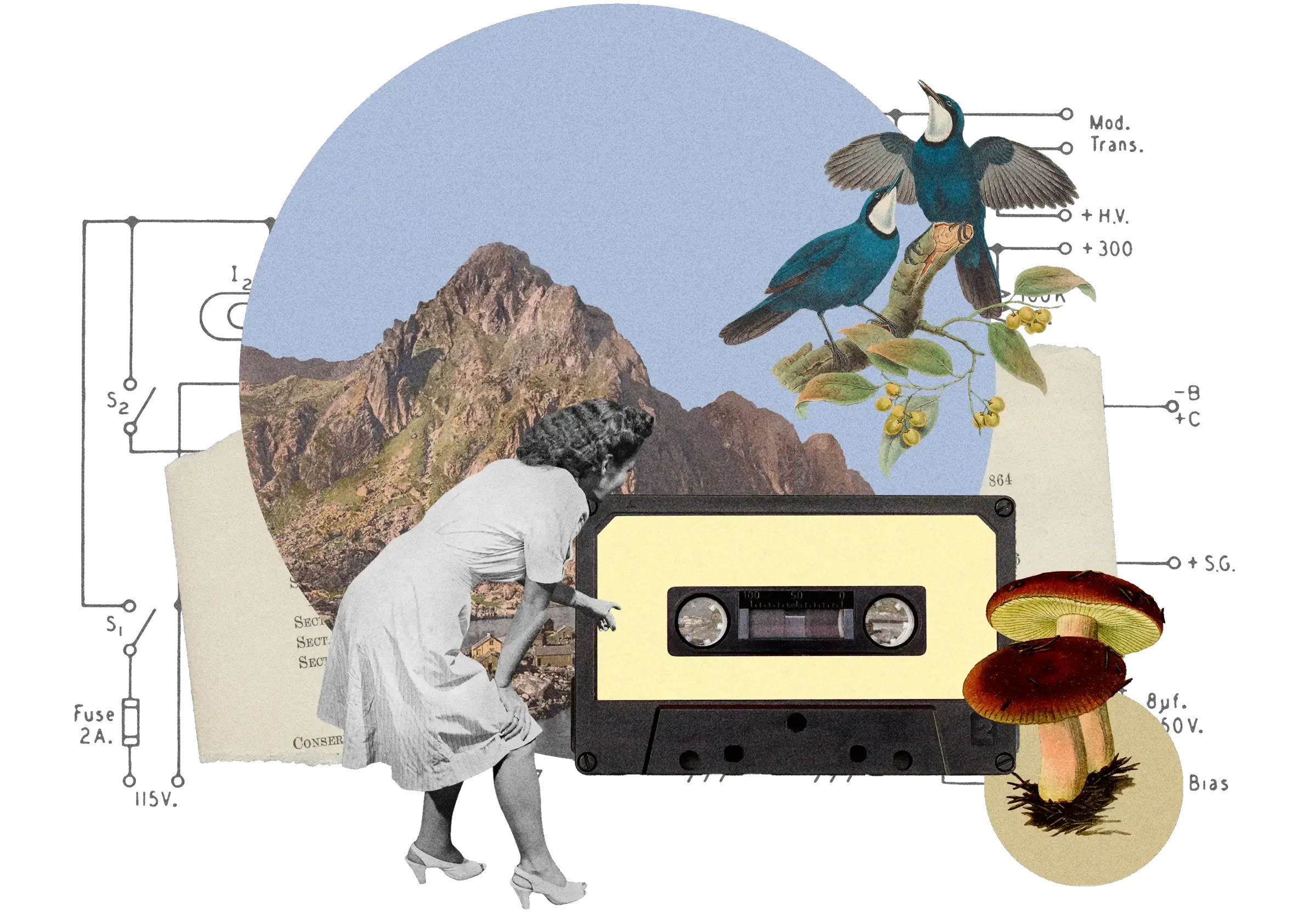 Collage: Woman in white dress bending over cassette tape, mountain landscape, blue birds on branch, mushrooms, circuit diagram