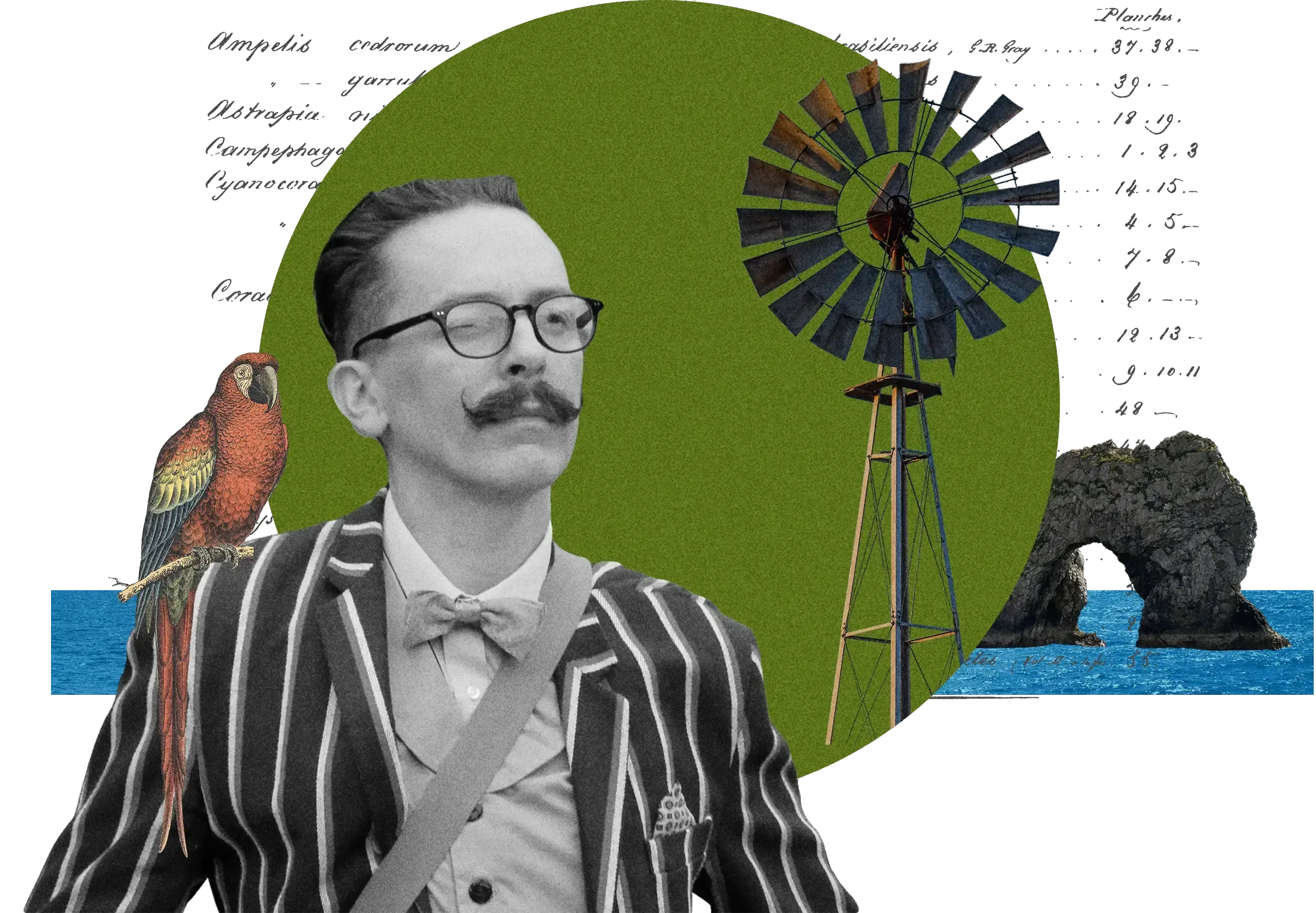 Collage: Man in striped blazer and bow tie, windmill, red parrot, coastal rock arch, scientific text, on green circle and blue sea