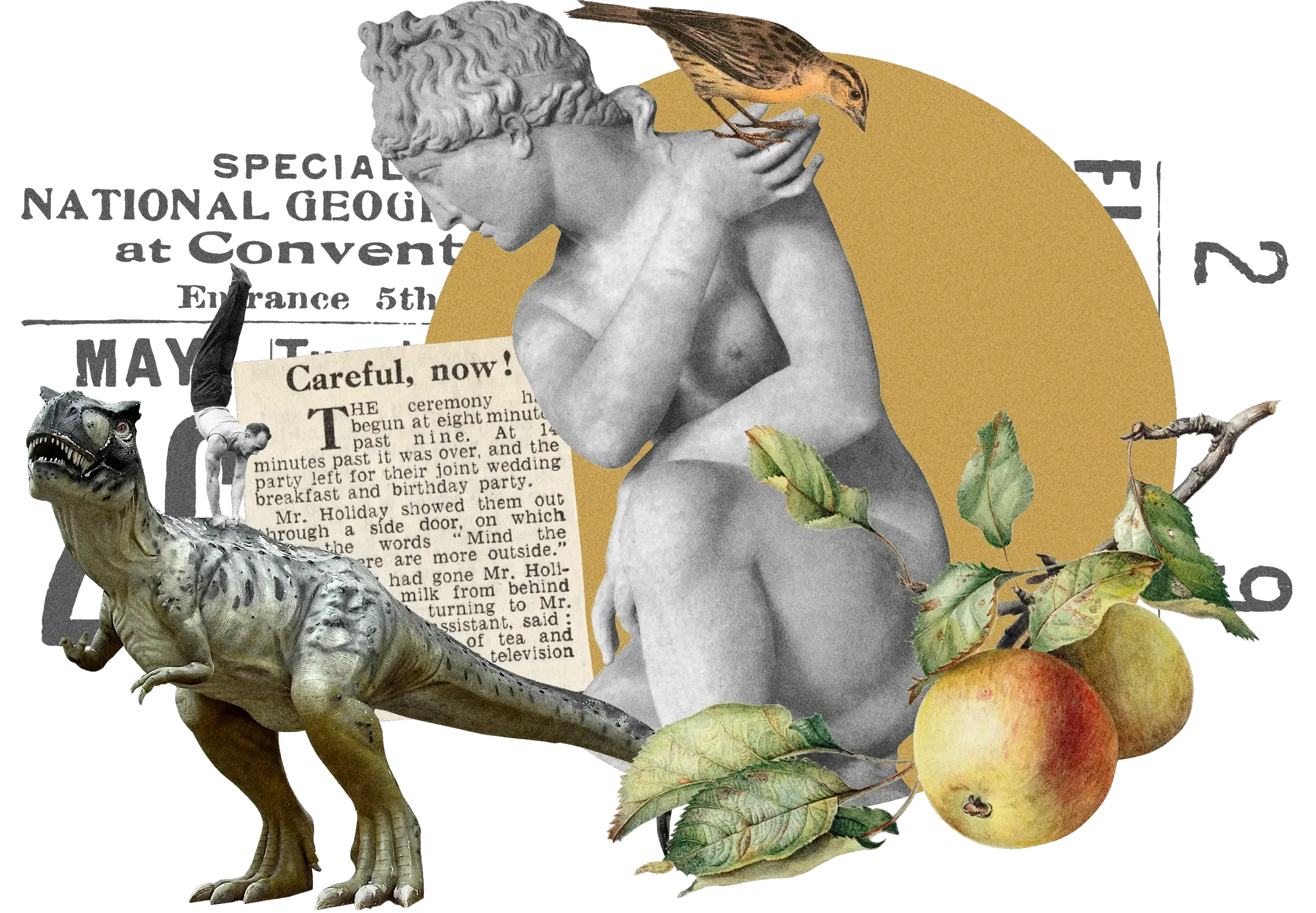 Collage: Classical marble statue, sparrow, T-Rex with gymnast, apples, 'Careful, now!' newspaper clipping, on gold circle background