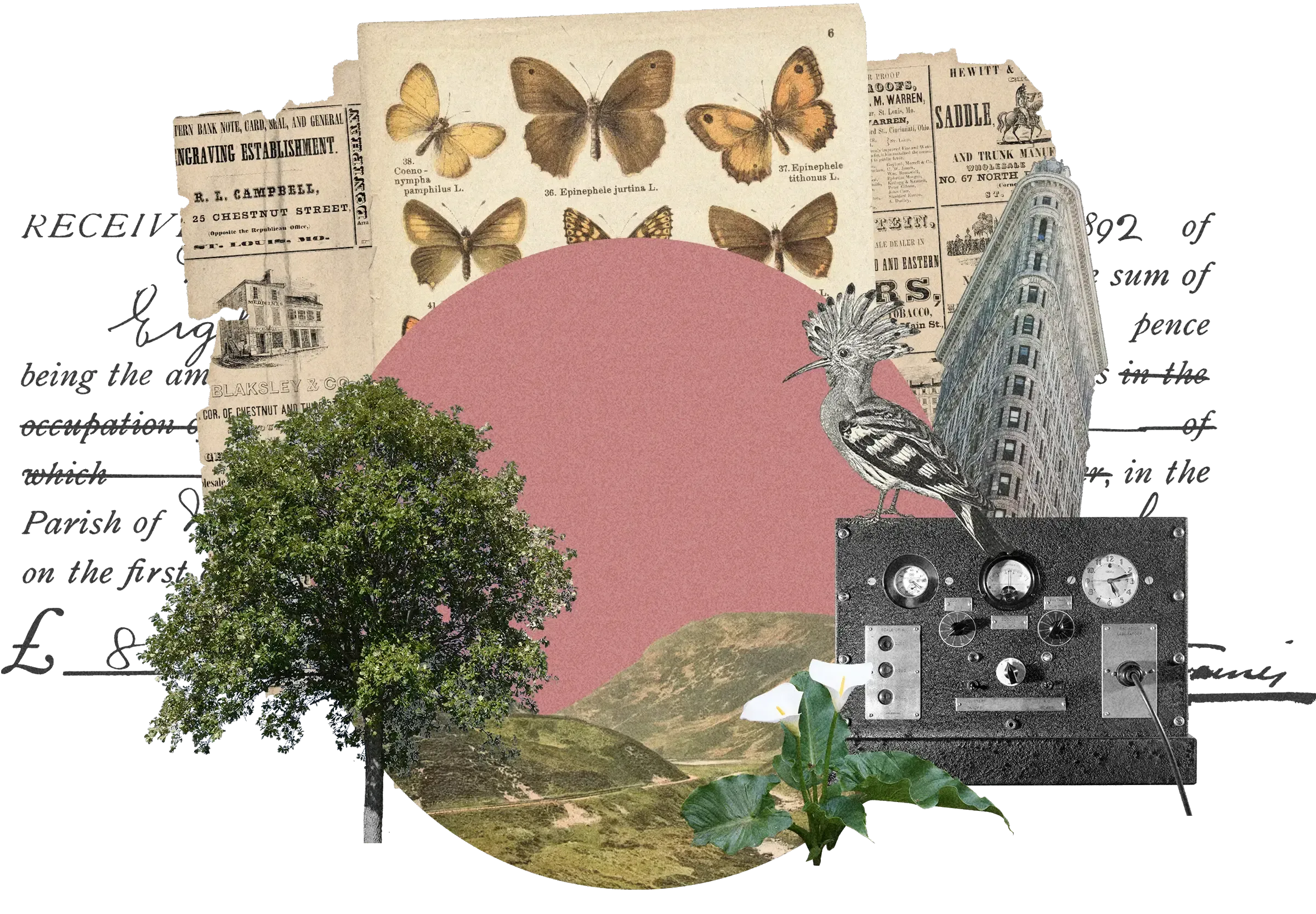 Vintage collage: handwritten receipt, butterfly specimens, green tree, Flatiron building, hoopoe bird, control panel, against pink circle