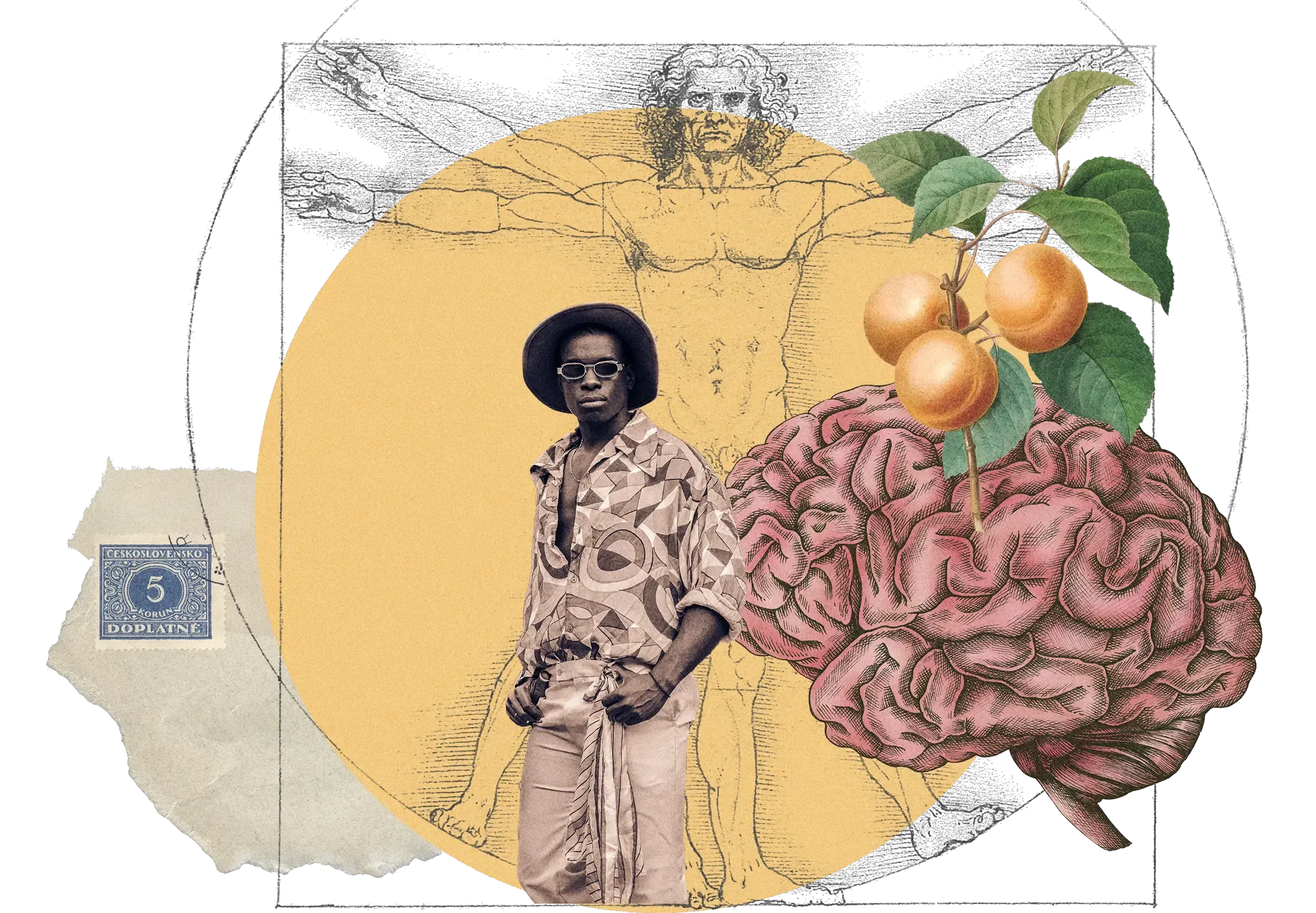 Collage: Man in hat and patterned shirt, Vitruvian Man drawing, anatomical brain illustration, oranges, Czech stamp, on yellow circle