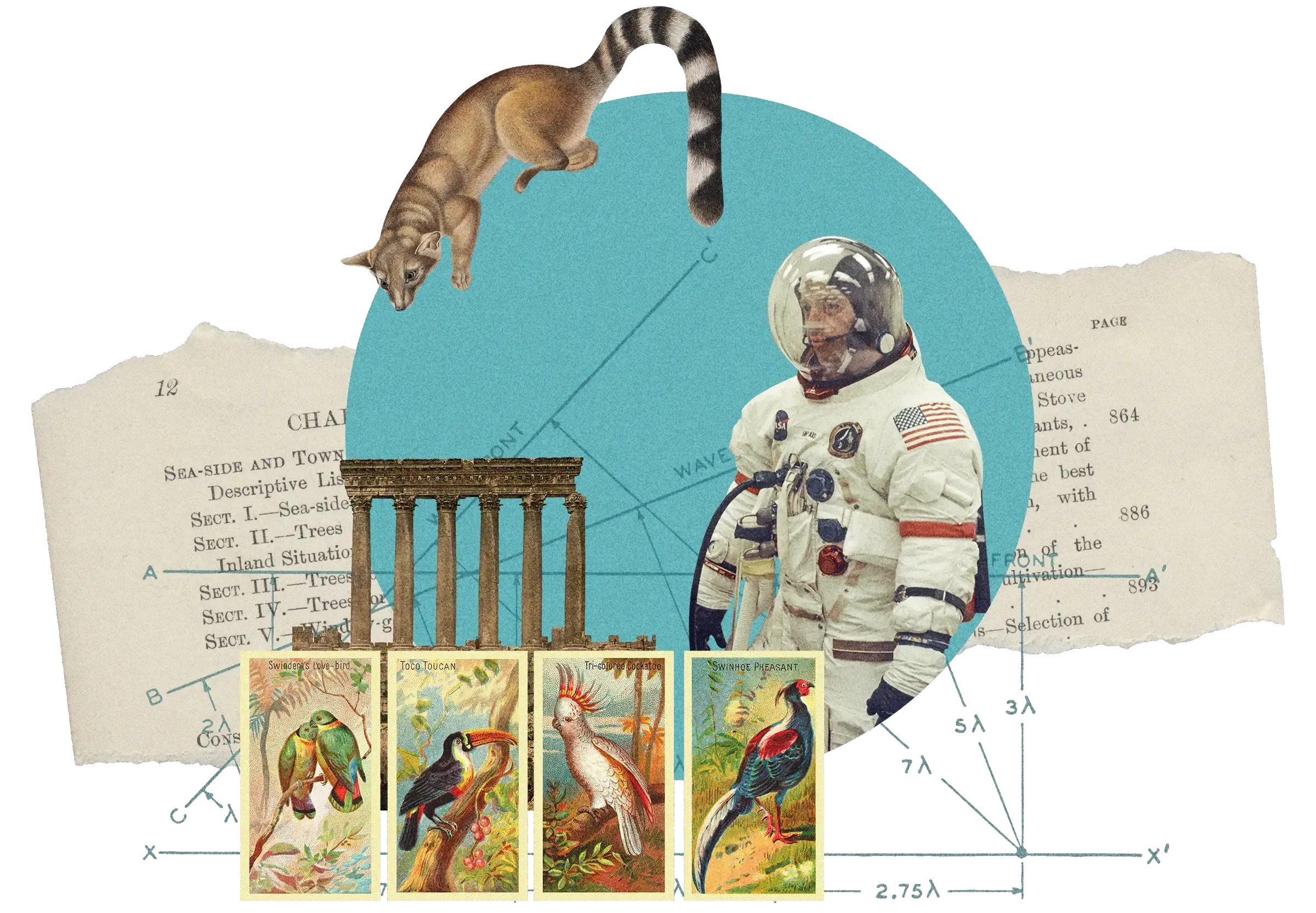 Collage: Astronaut in spacesuit, jumping cat, classical columns, vintage bird trading cards, geometric diagrams on turquoise circle