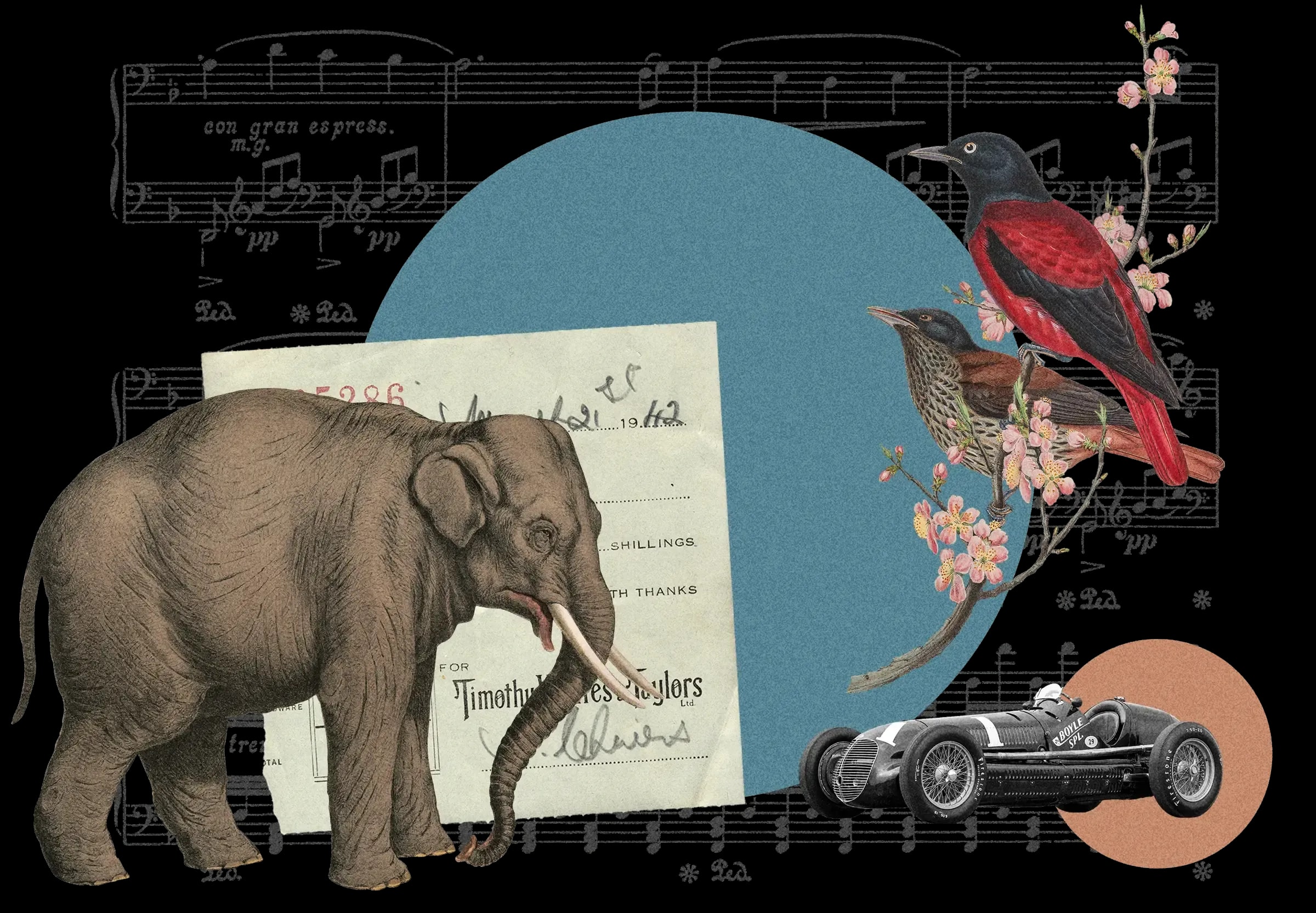 Collage on sheet music: vintage elephant illustration, receipt from Timothy Taylors, red-breasted birds on cherry blossoms, vintage race car