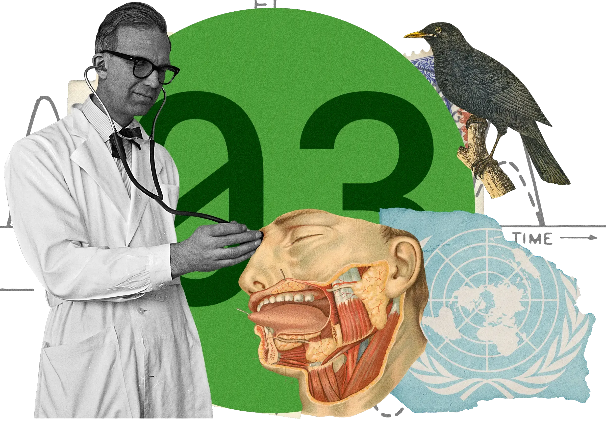 Collage: Doctor with stethoscope examining anatomical head diagram, black bird, UN logo, number 03, on green circle background