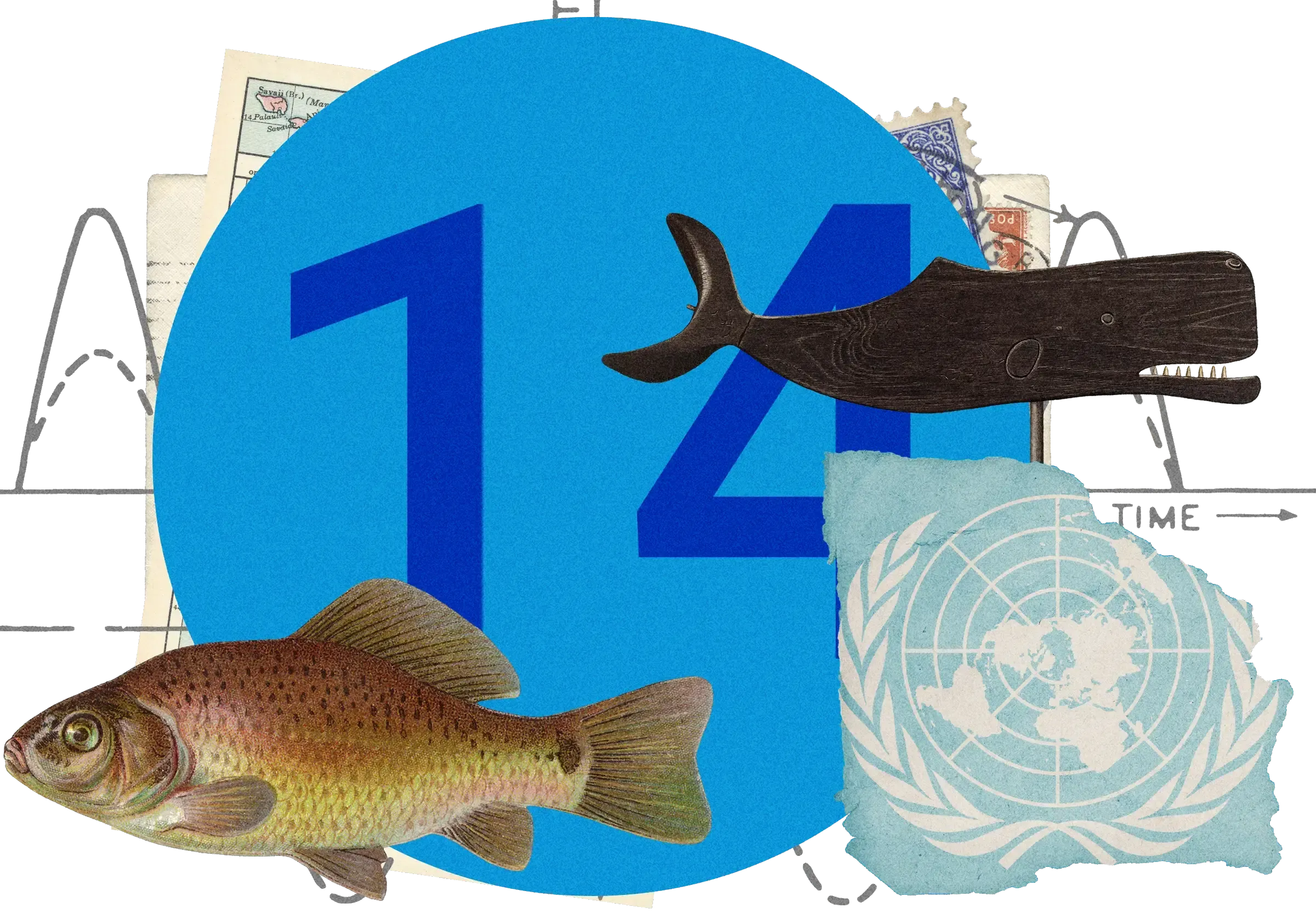 Collage with stylised flat whale carving and detailed fish illustration, UN logo, and number 14 against blue circular background with 'TIME' arrow.