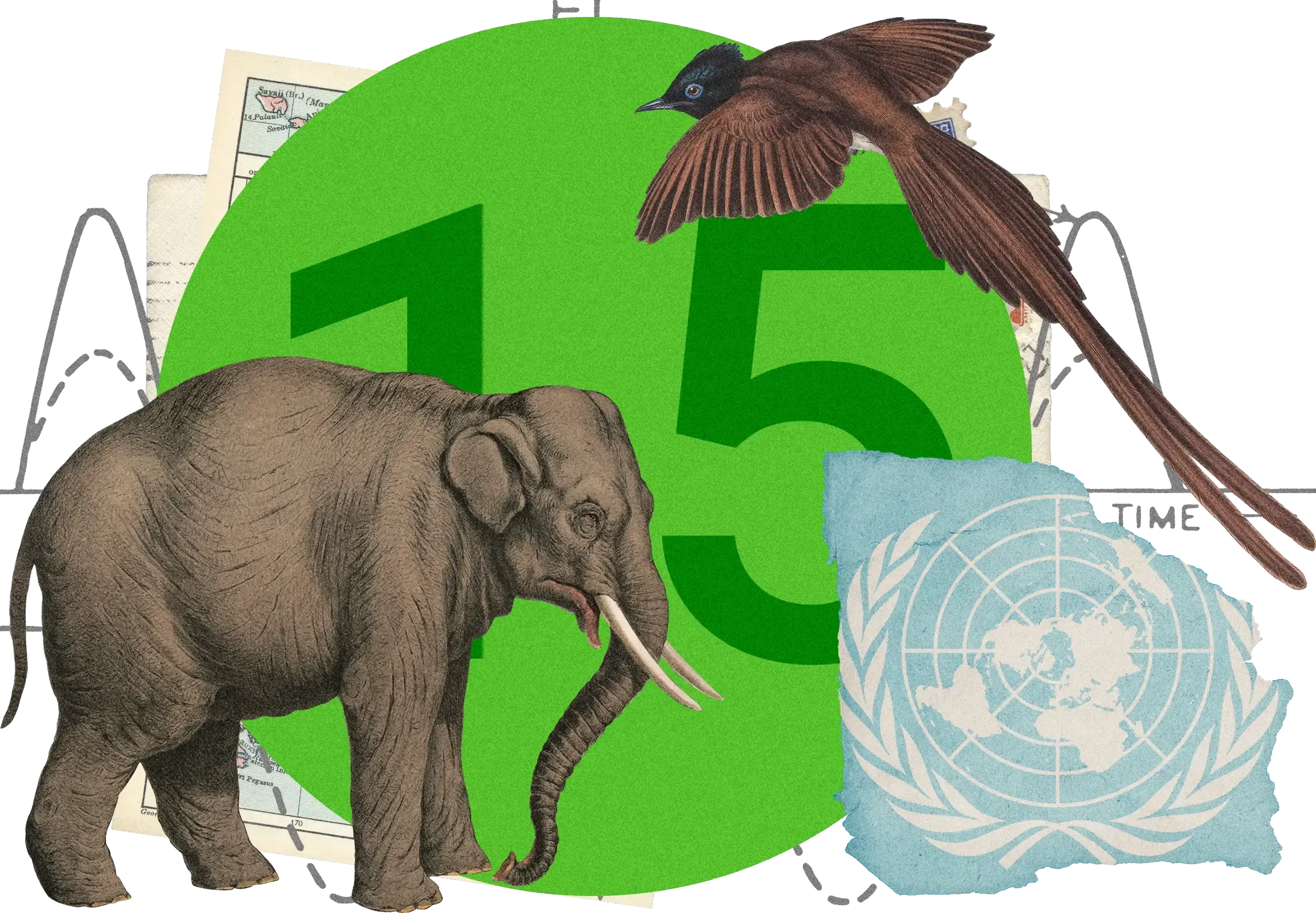 Collage with detailed elephant and long-tailed bird illustration, UN logo, and number 15 against bright green circular background with 'TIME' arrow.