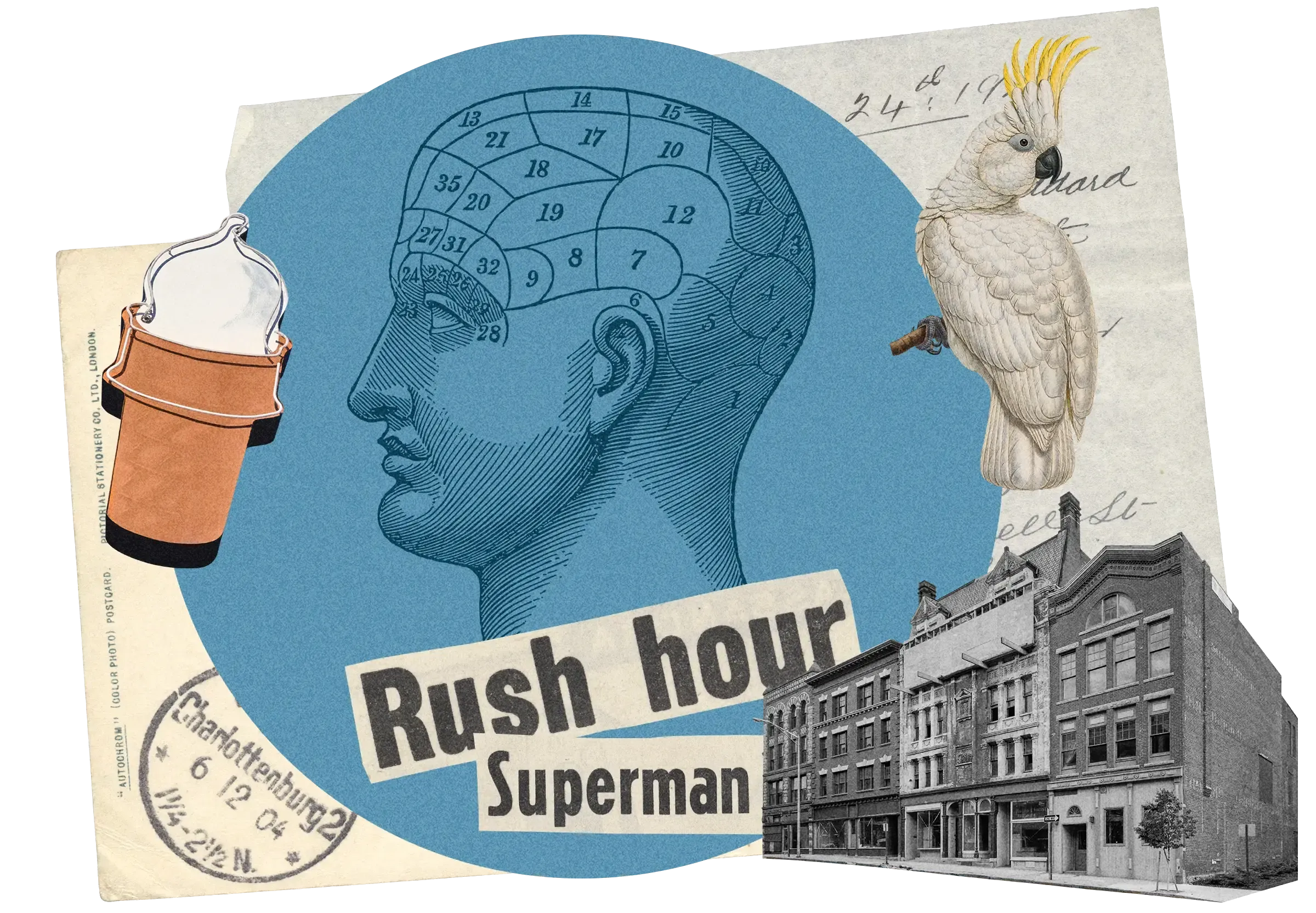 Collage featuring phrenology head diagram, coffee cup, white cockatoo, vintage buildings, and 'Rush hour Superman' text on blue circular background.